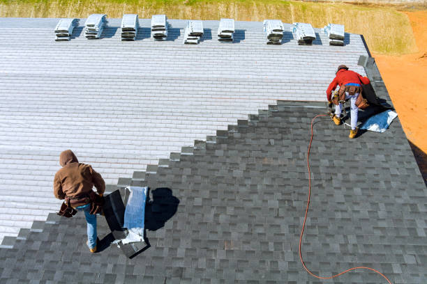 Best Chimney Flashing Repair  in Margate, FL